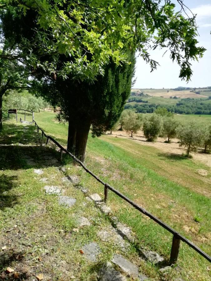 Agriturismo Podere Cherzo Cinigiano Exterior foto