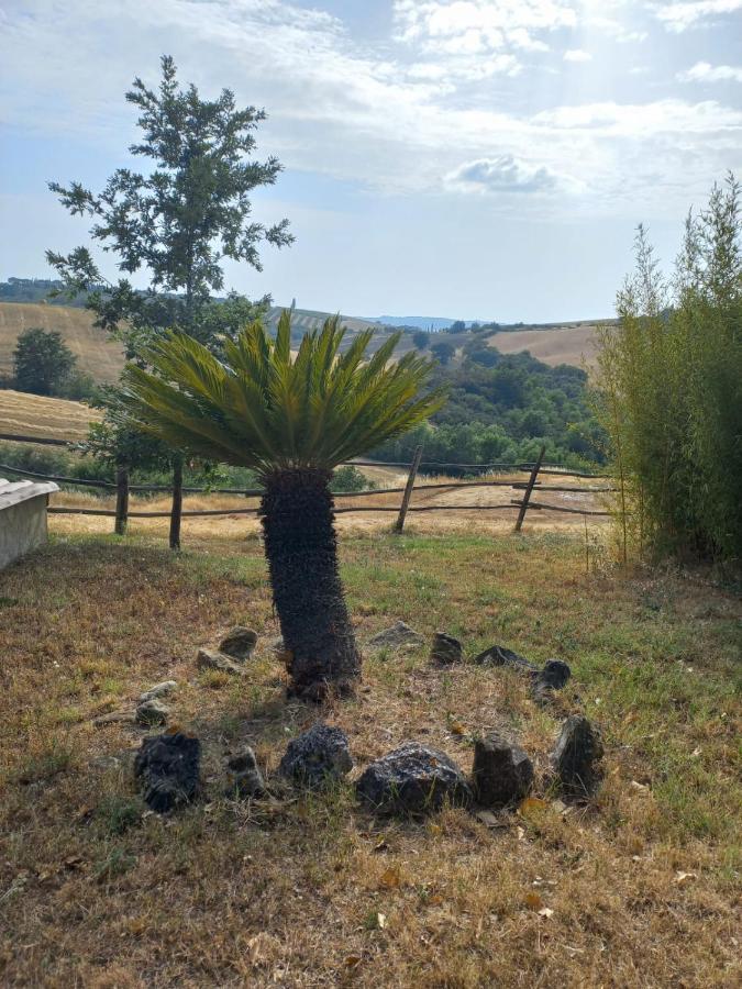 Agriturismo Podere Cherzo Cinigiano Exterior foto