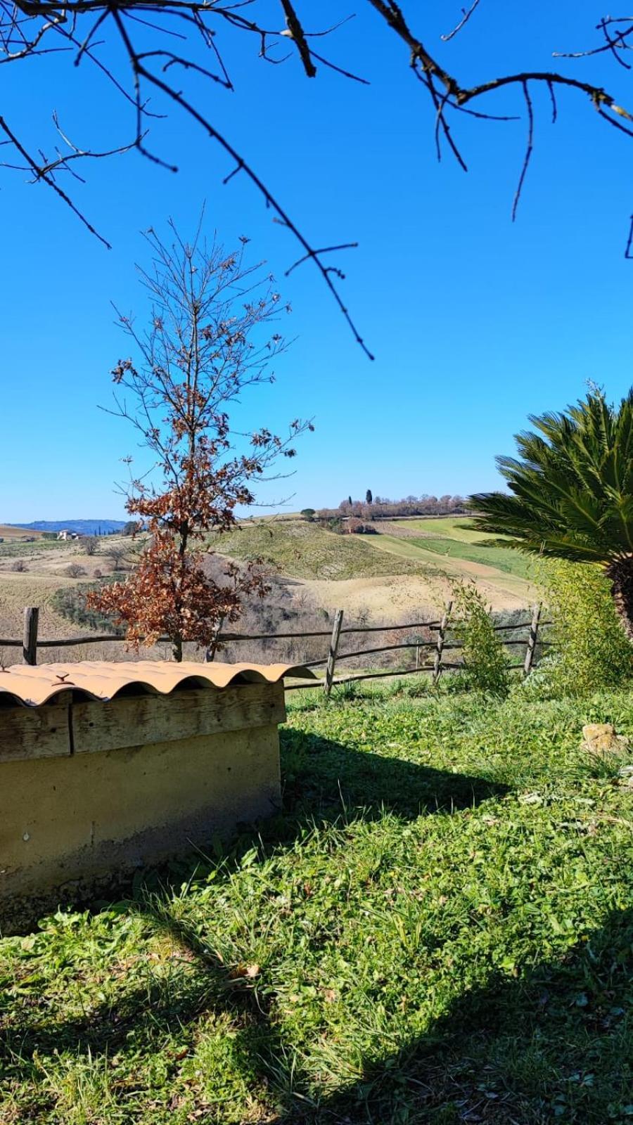 Agriturismo Podere Cherzo Cinigiano Exterior foto
